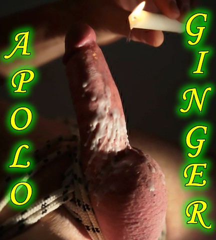 Apolo Ginger