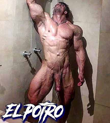 El Potro